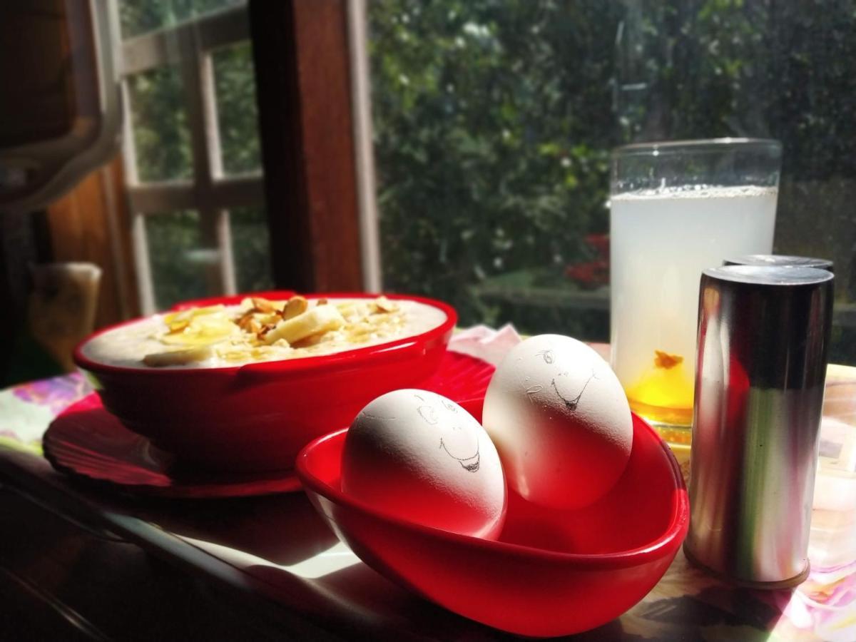 The Unmad, Dharamkot Hotel Dharamshala Ngoại thất bức ảnh