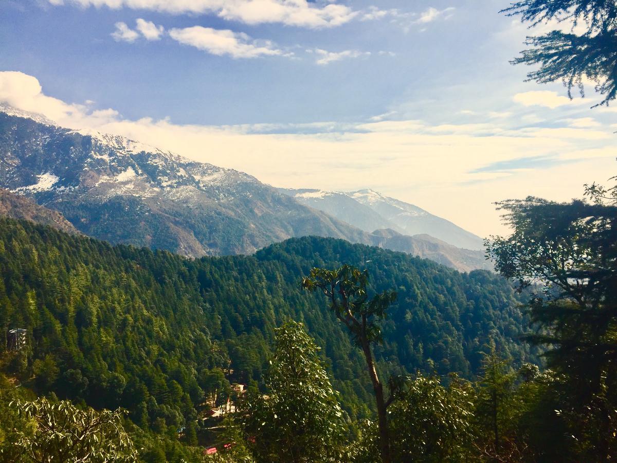 The Unmad, Dharamkot Hotel Dharamshala Ngoại thất bức ảnh