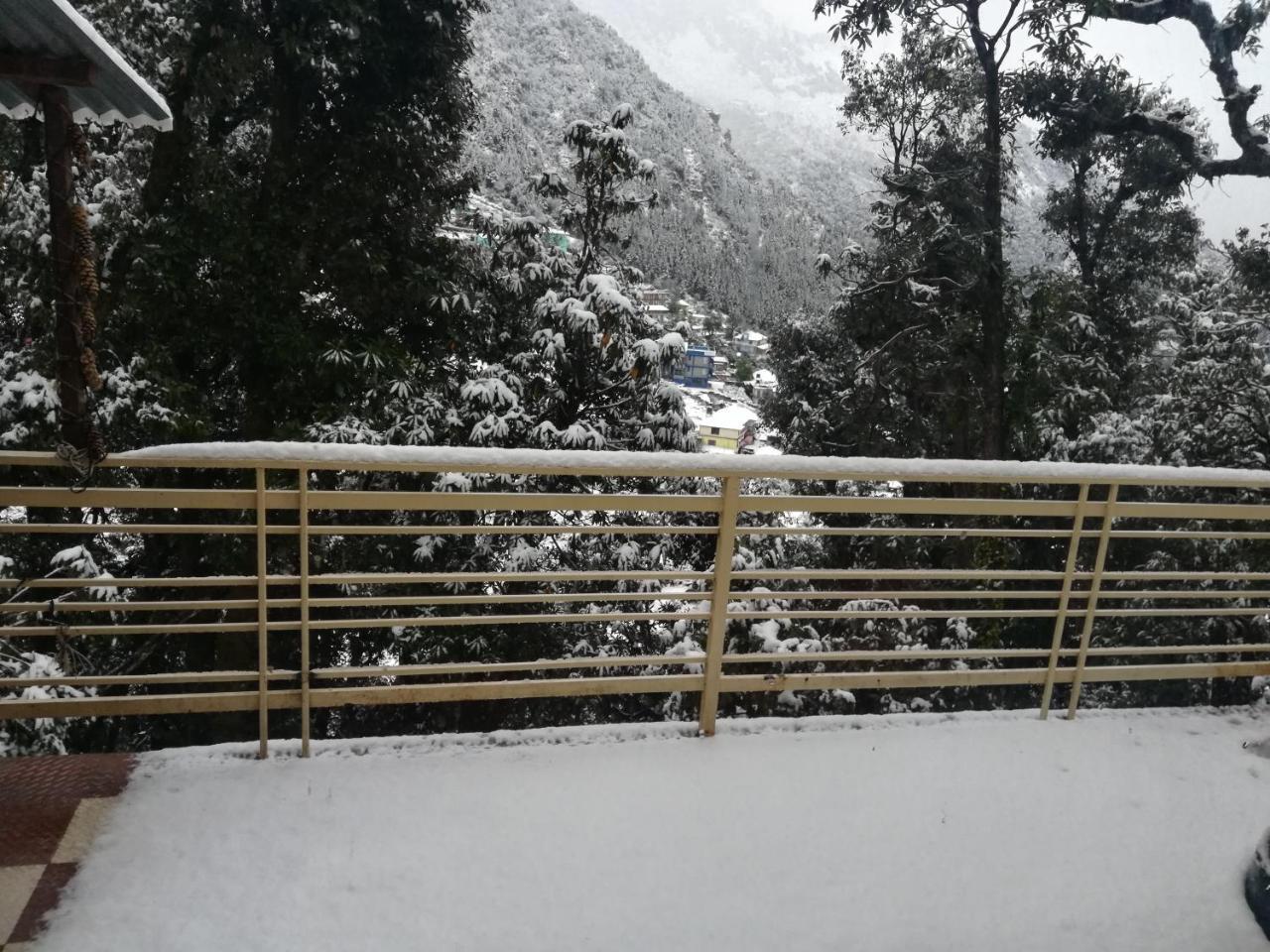 The Unmad, Dharamkot Hotel Dharamshala Ngoại thất bức ảnh