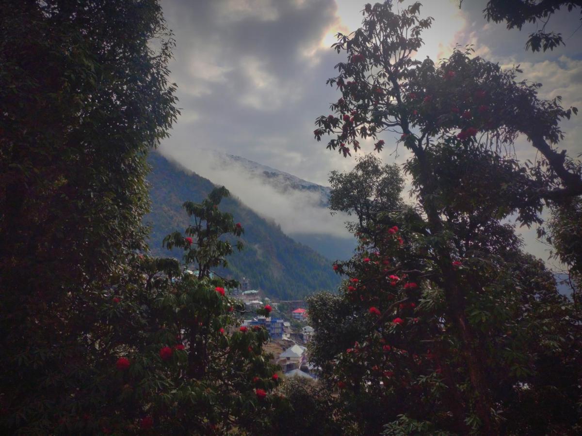 The Unmad, Dharamkot Hotel Dharamshala Ngoại thất bức ảnh